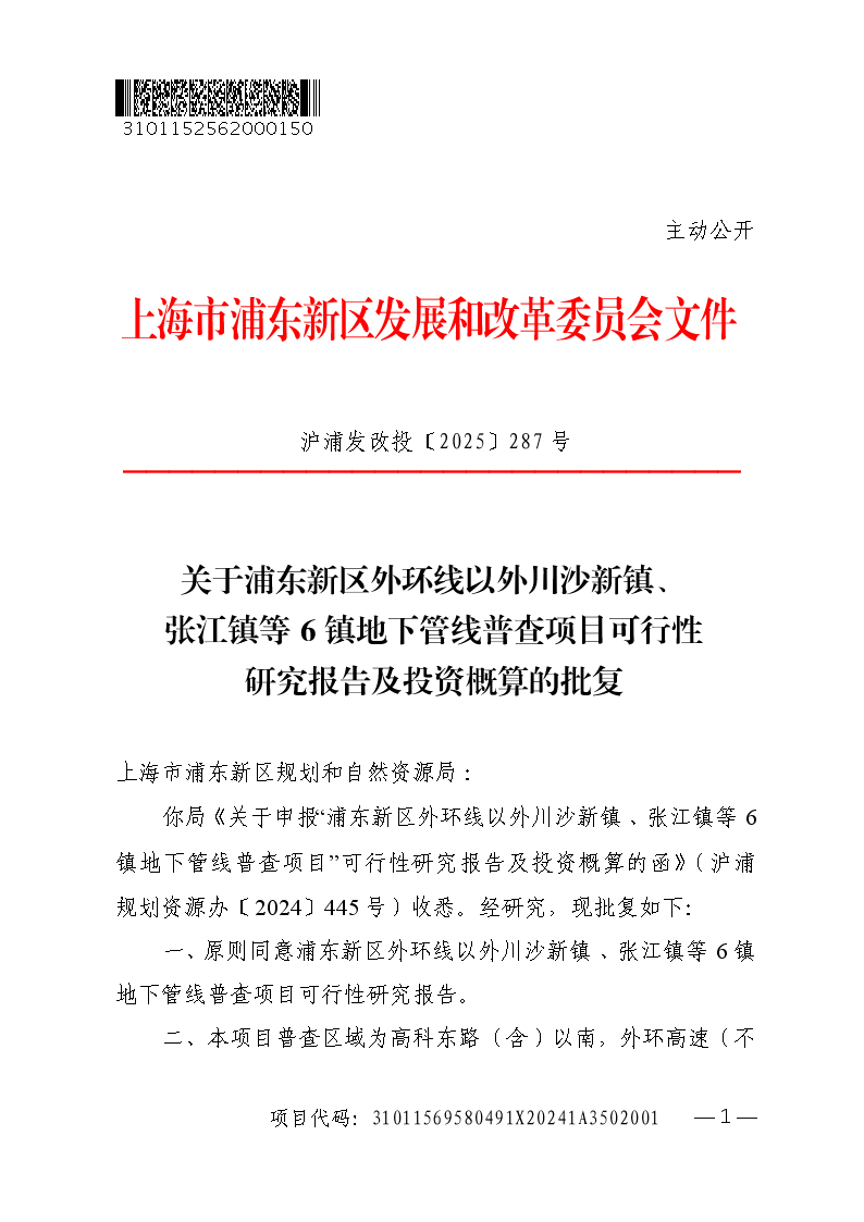 关于浦东新区外环线以外川沙新镇、张江镇等6镇地下管线普查项目可行性研究报告及投资概算的批复