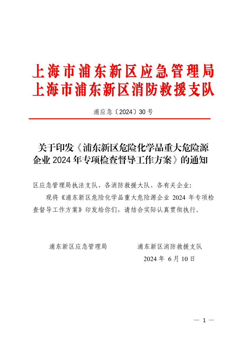 关于印发《浦东新区危险化学品重大危险源企业2024年专项检查督导工作方案》的通知