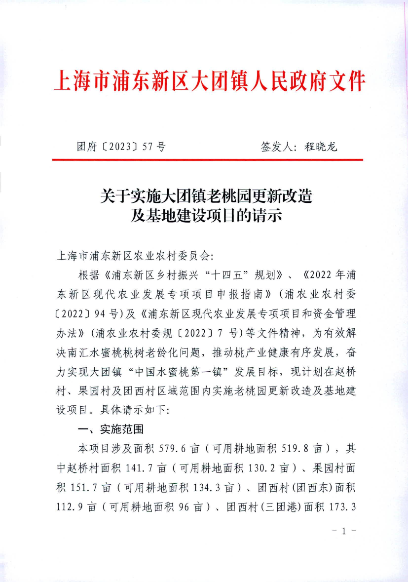 关于实施大团镇老桃园更新改造 及基地建设项目的请示