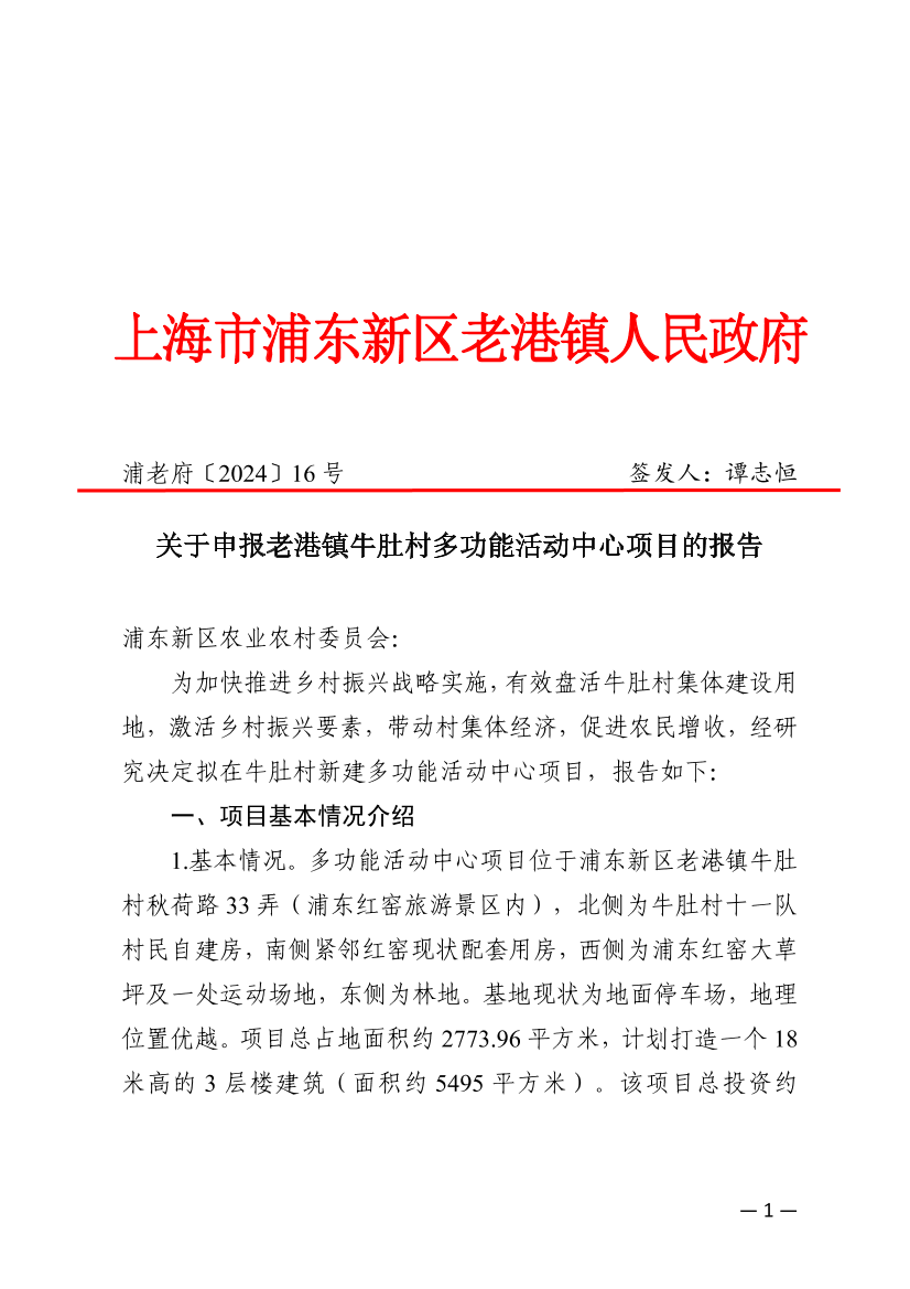 关于申报老港镇牛肚村多功能活动中心项目的报告