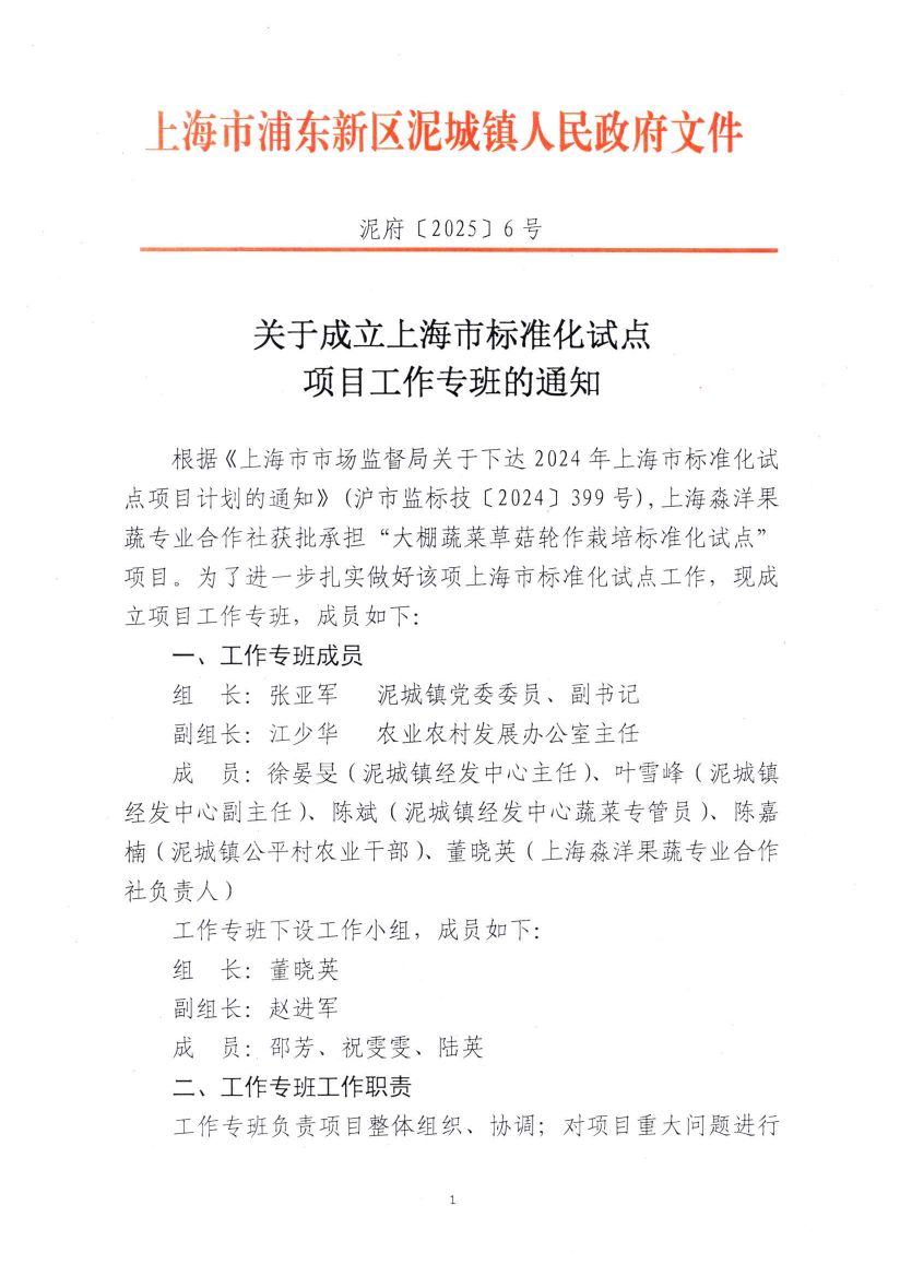 关于成立上海市标准化试点项目工作专班的通知