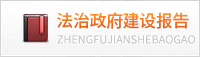 法治政府建设报告