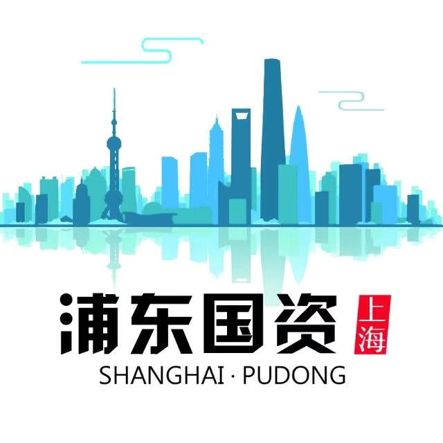 浦东国资