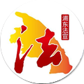 法治浦东