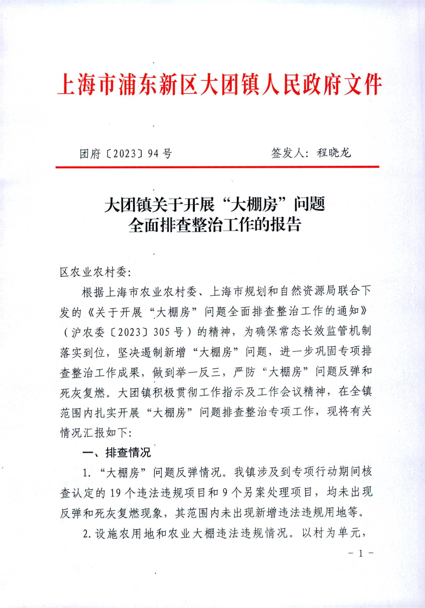 大团镇关于开展“大棚房”问题 全面排查整治工作的报告