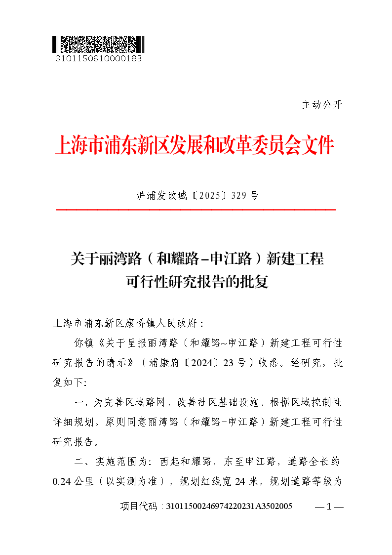 关于丽湾路（和耀路-申江路）新建工程可行性研究报告的批复