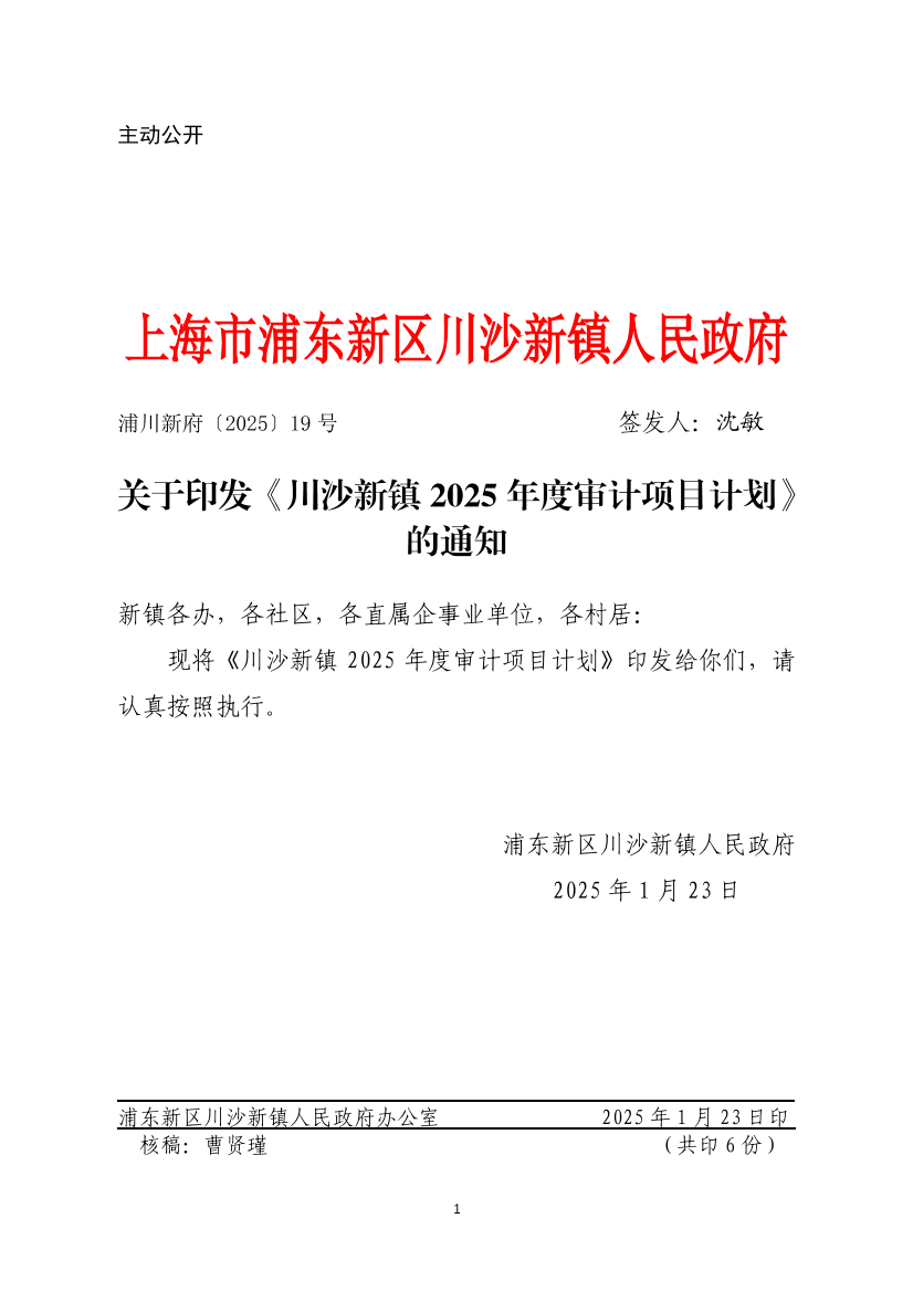 关于印发《川沙新镇2025年度审计项目计划》 的通知