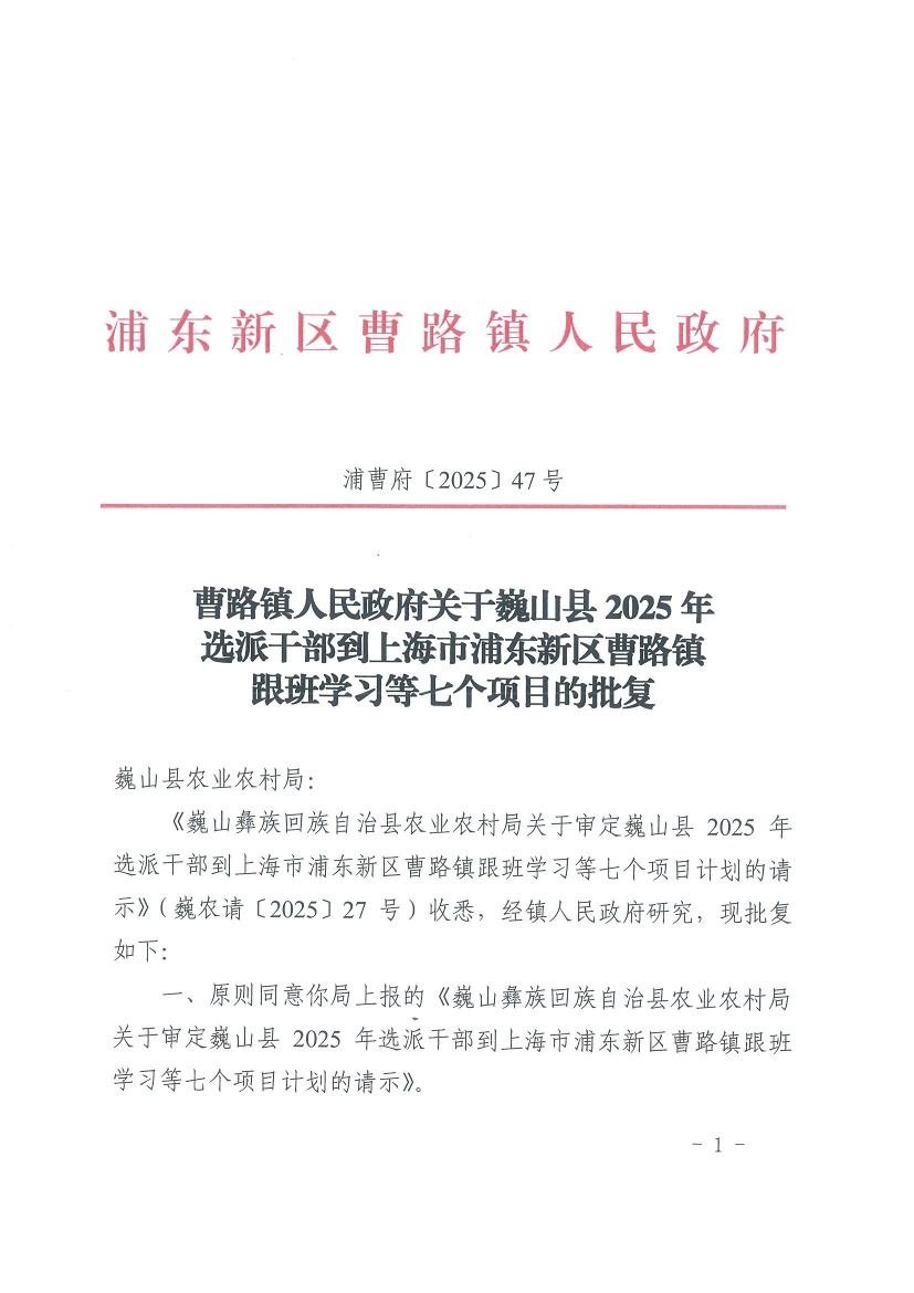 曹路镇人民政府关于巍山县2025年选派干部到上海市浦东新区曹路镇跟班学习等七个项目的批复