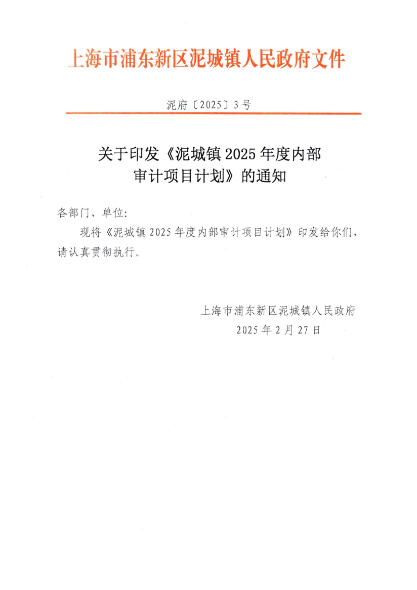 关于印发《泥城镇2025年度内部 审计项目计划》的通知