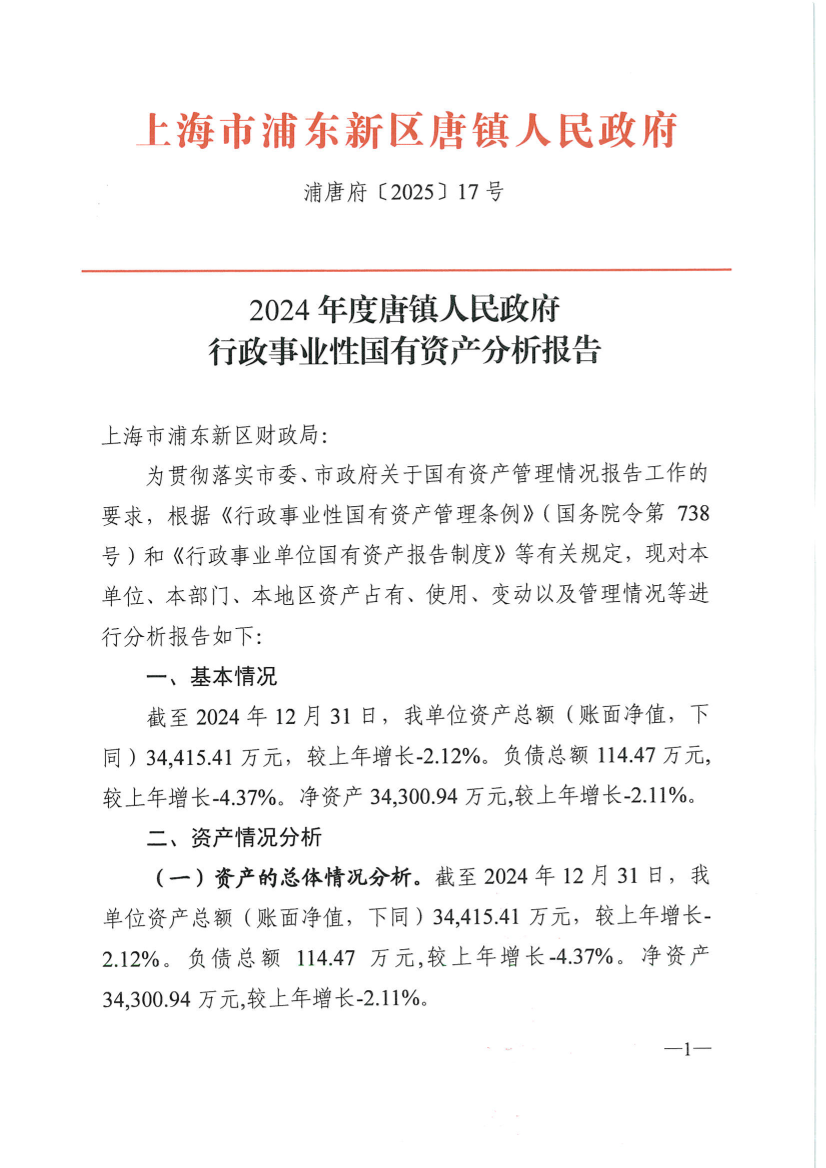 2024年度唐镇人民政府行政事业性国有资产分析报告