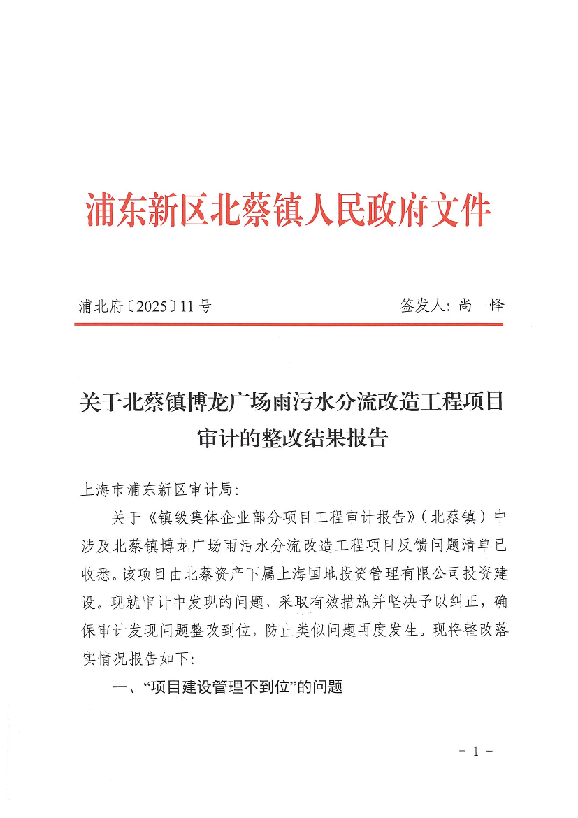 关于北蔡镇博龙广场雨污水分流改造工程项目 审计的整改结果报告