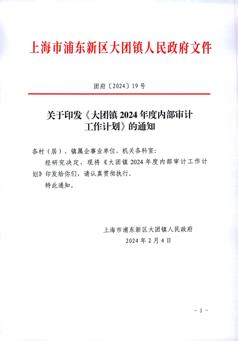 关于印发《大团镇2024年度内部审计工作计划》的通知