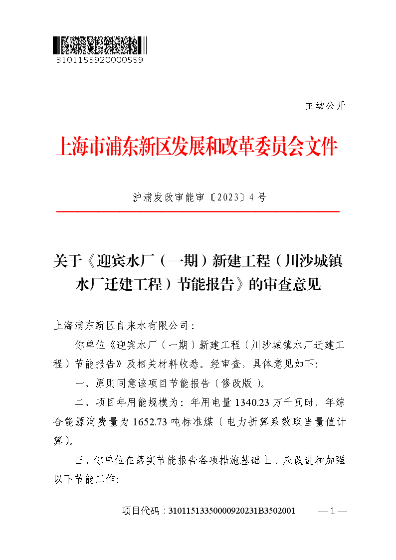 关于《迎宾水厂（一期）新建工程（川沙城镇水厂迁建工程）节能报告》的审查意见